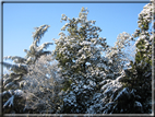 foto Parco Sebellin in Inverno